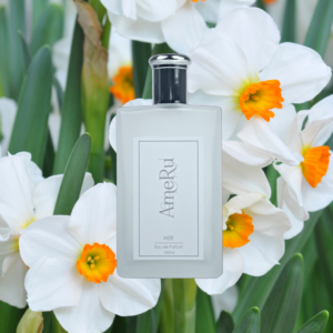 Narcisse - C.