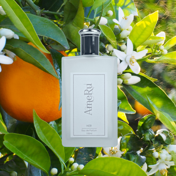 Chypre Floral