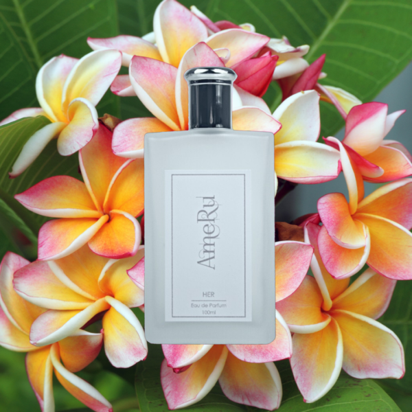 N Eau de Parfum Ambrée - NR