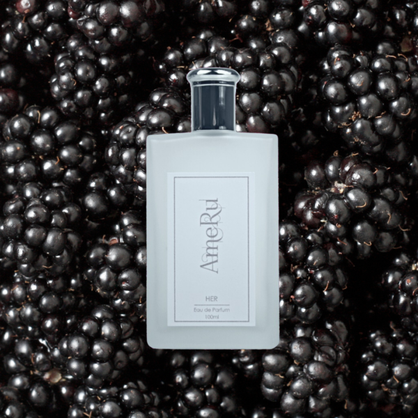 Blackberry & Bay - JML