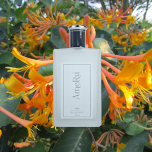 Honeysuckle & Davana - JML