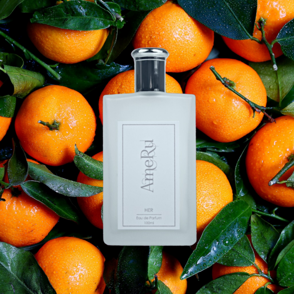 Neroli Portofino - TF