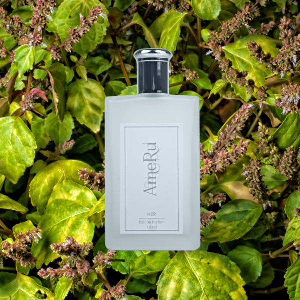 Chypre Floral