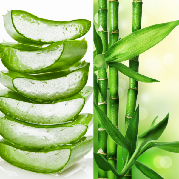 Aloe & Bamboo
